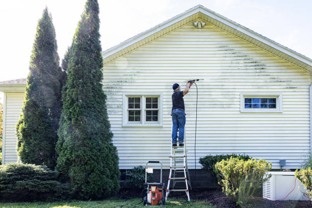 Best Soft Washing  in Sebree, KY